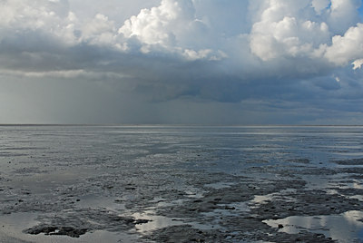 BUITEN BEELD Foto: 23858