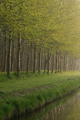 BUITEN BEELD Foto: 23882