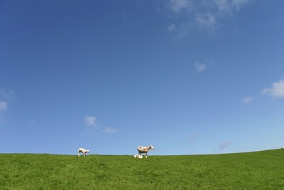BUITEN BEELD Foto: 23890