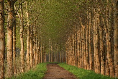 BUITEN BEELD Foto: 23893