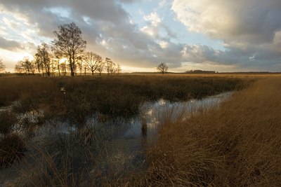 BUITEN BEELD Foto: 23950