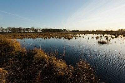 BUITEN BEELD Foto: 23955