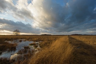 BUITEN BEELD Foto: 23956