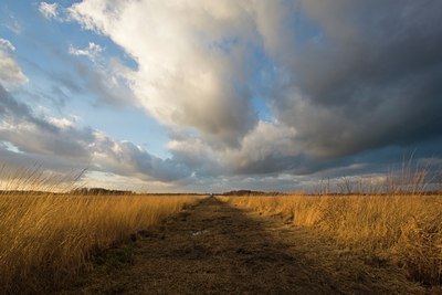 BUITEN BEELD Foto: 23959