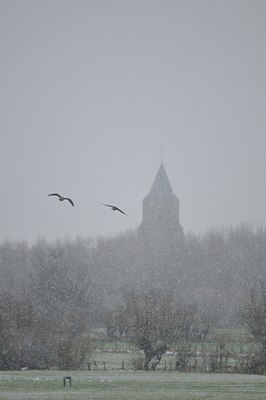 BUITEN BEELD Foto: 23965