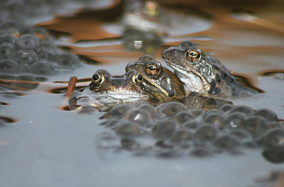 BUITEN BEELD Foto: 23999