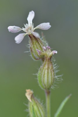 BUITEN BEELD Foto: 239014