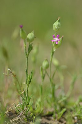 BUITEN BEELD Foto: 239030