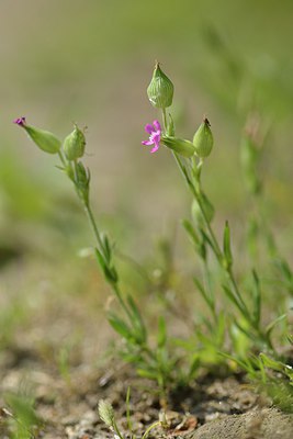 BUITEN BEELD Foto: 239031