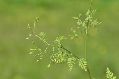 BUITEN BEELD Foto: 239034