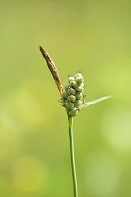 BUITEN BEELD Foto: 239044