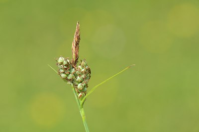 BUITEN BEELD Foto: 239051