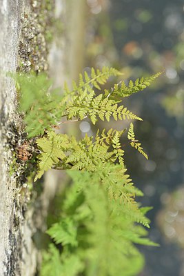 BUITEN BEELD Foto: 239054