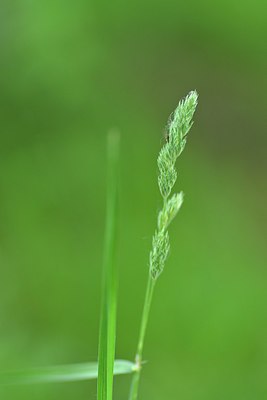 BUITEN BEELD Foto: 239057