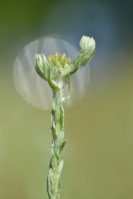 BUITEN BEELD Foto: 239129