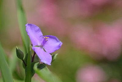 BUITEN BEELD Foto: 239145