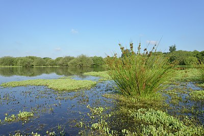 BUITEN BEELD Foto: 239154