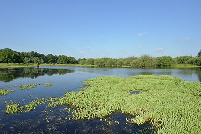 BUITEN BEELD Foto: 239159