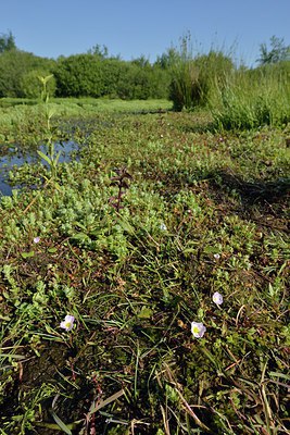 BUITEN BEELD Foto: 239163