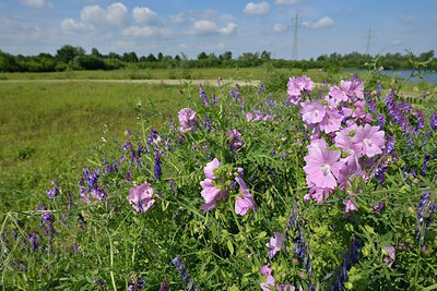 BUITEN BEELD Foto: 239173