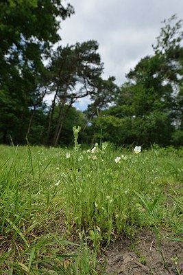 BUITEN BEELD Foto: 239184