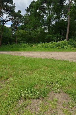 BUITEN BEELD Foto: 239186