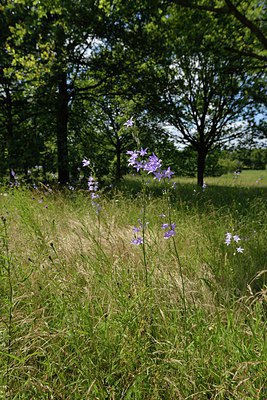 BUITEN BEELD Foto: 239200