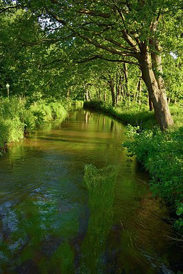 BUITEN BEELD Foto: 239249