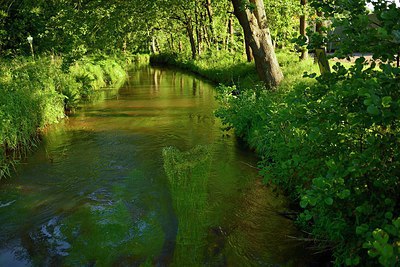 BUITEN BEELD Foto: 239250