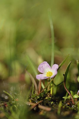 BUITEN BEELD Foto: 239294