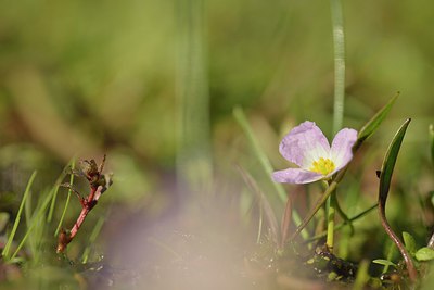 BUITEN BEELD Foto: 239296