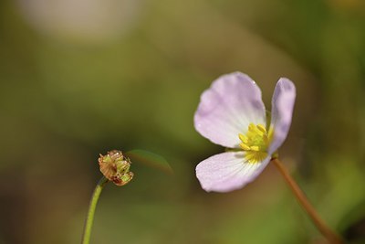 BUITEN BEELD Foto: 239302