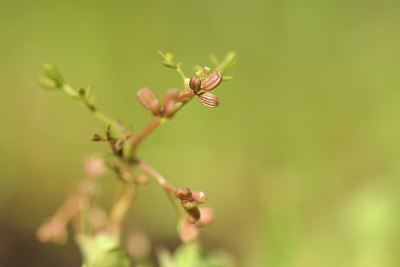 BUITEN BEELD Foto: 239308