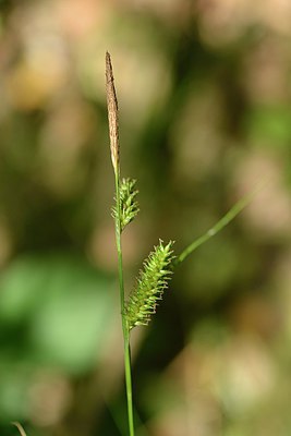 BUITEN BEELD Foto: 239347