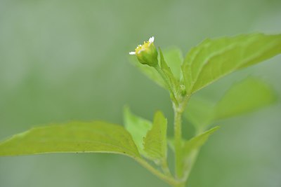 BUITEN BEELD Foto: 239349