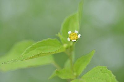 BUITEN BEELD Foto: 239350