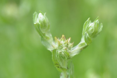 BUITEN BEELD Foto: 239358