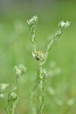 BUITEN BEELD Foto: 239361