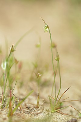 BUITEN BEELD Foto: 239396