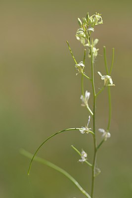 BUITEN BEELD Foto: 239403