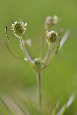BUITEN BEELD Foto: 239404