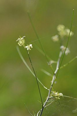 BUITEN BEELD Foto: 239405