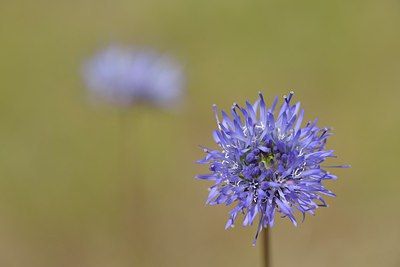 BUITEN BEELD Foto: 239408