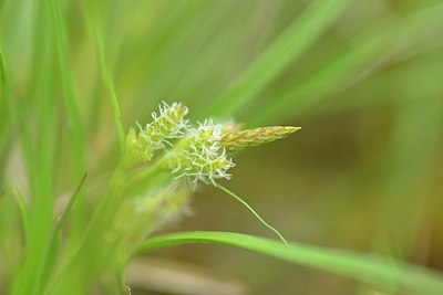 BUITEN BEELD Foto: 239438