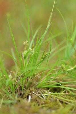 BUITEN BEELD Foto: 239439