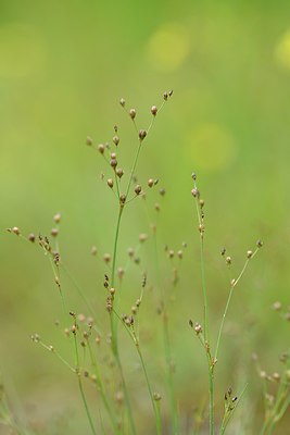 BUITEN BEELD Foto: 239442
