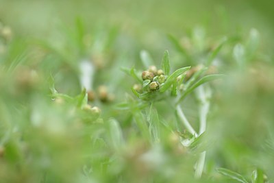 BUITEN BEELD Foto: 239464