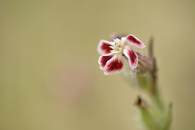 BUITEN BEELD Foto: 239531