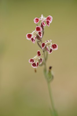 BUITEN BEELD Foto: 239542