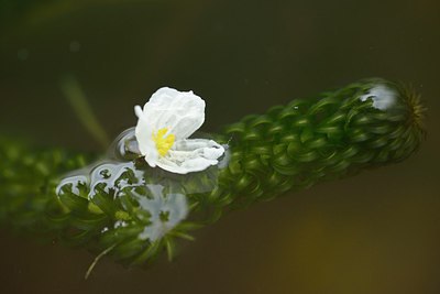 BUITEN BEELD Foto: 239594